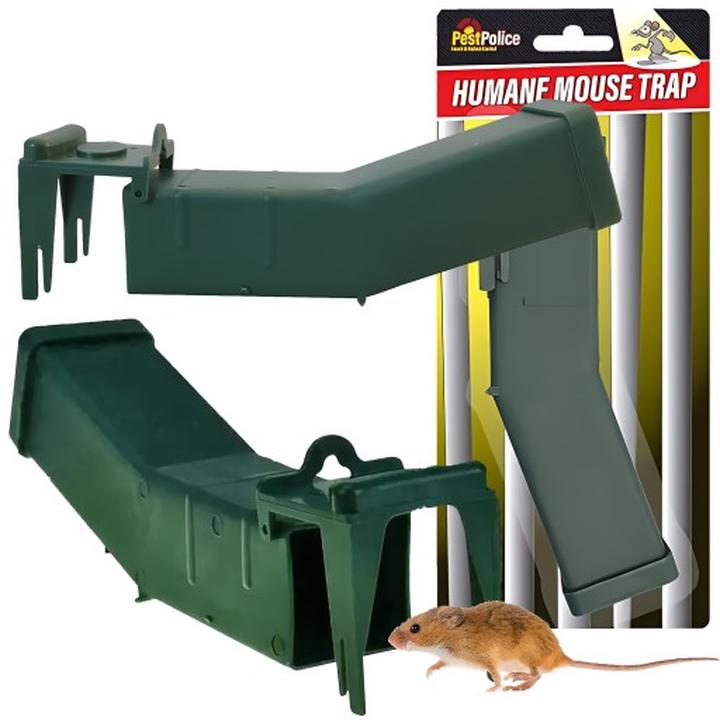 Pułapki humanitarne na myszy w domu