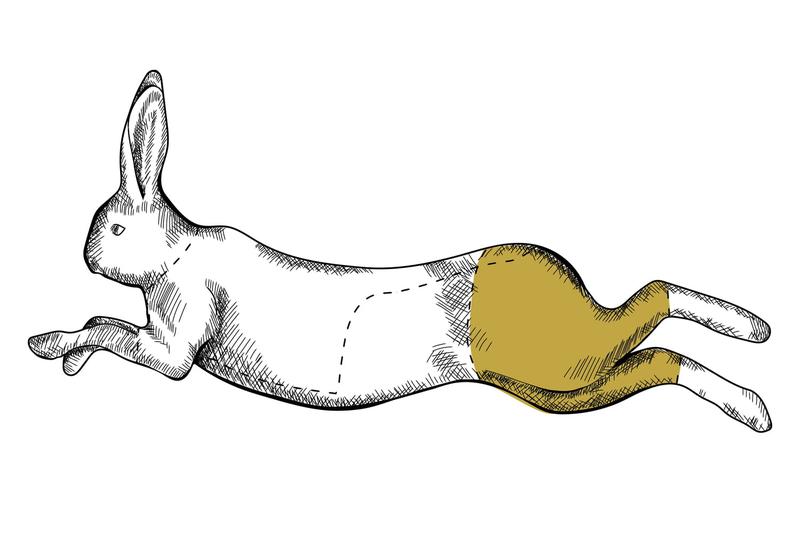 Sekrety marynowania królika