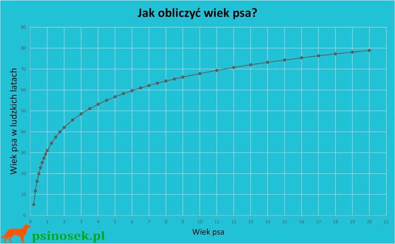 Starzenie się psów a rasy