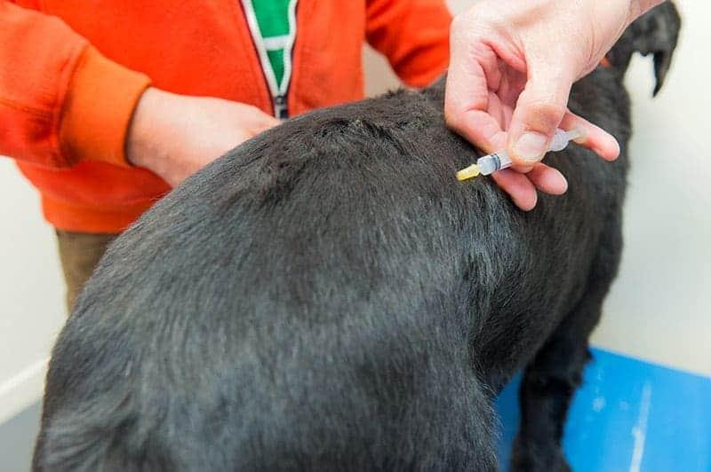 Technika podawania zastrzyków krok po kroku