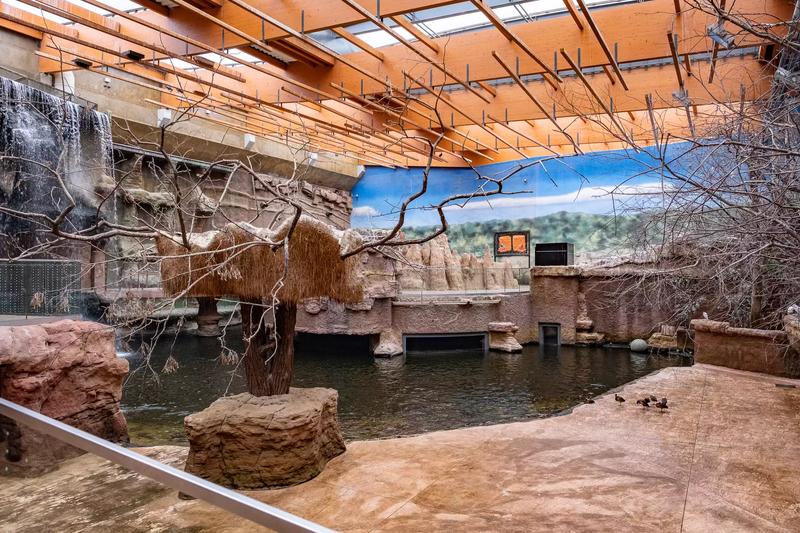 Transport publiczny do ZOO Wrocław