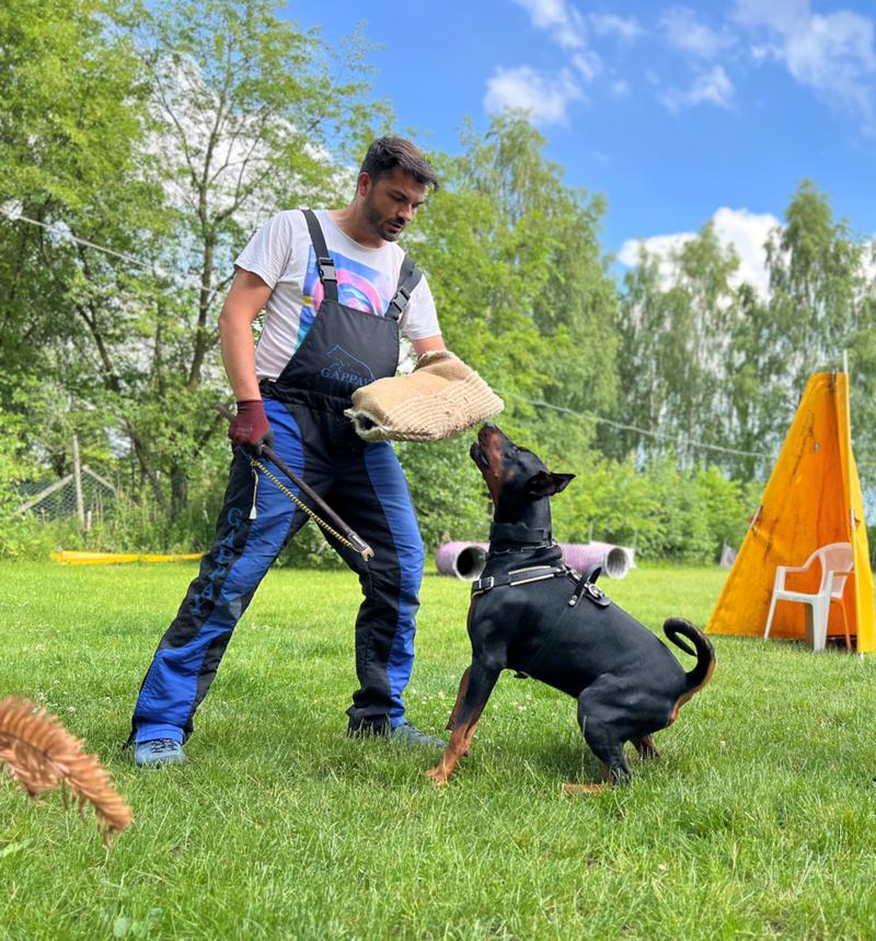 Tresura psa krok po kroku