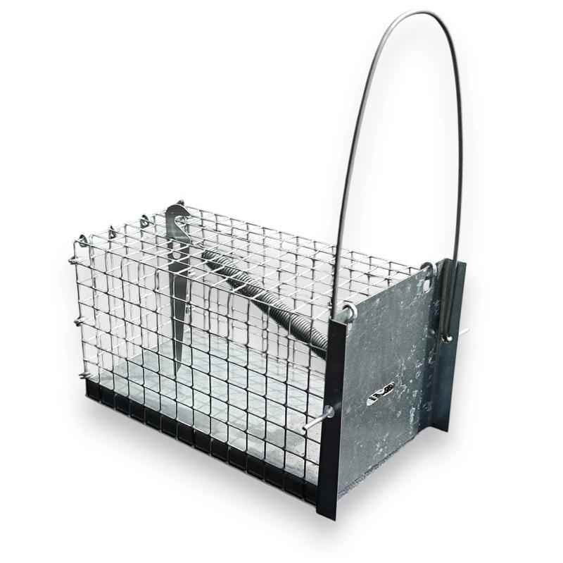 Uszczelnianie domu przed gryzoniami