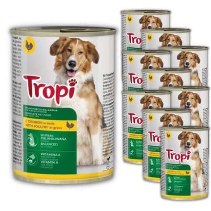 Wybór najlepszej karmy dla psa