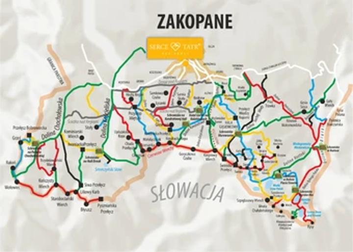 Zakopane z psem
