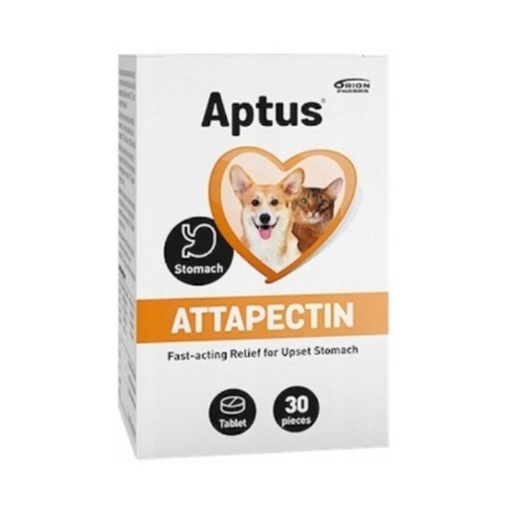 Zapobieganie niestrawności u psów