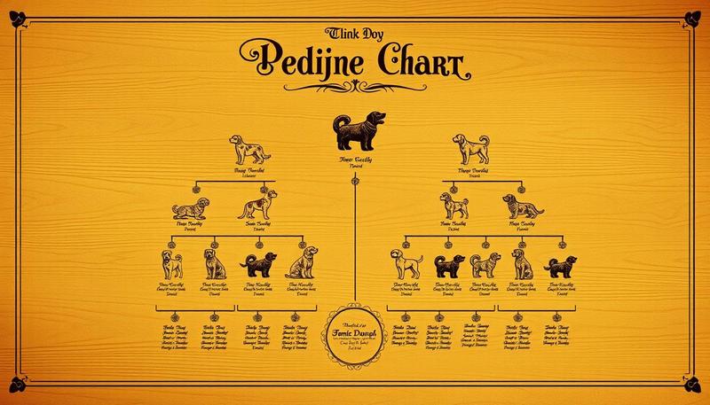 Zbieranie danych genealogicznych psa