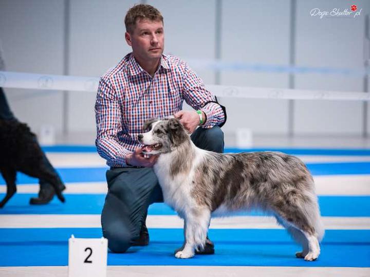 Zdrowie psa objawy oddechowe