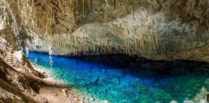 Chłopiec wychowywany jak pies bonito – historia bezgranicznej miłości i niezwykłych relacji