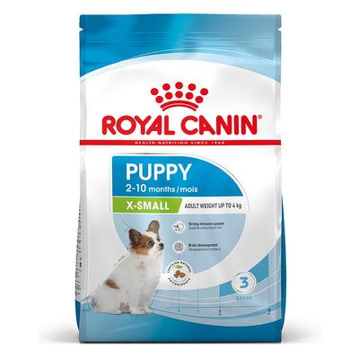 Czy karma Royal Canin to najlepszy wybór dla Twojego kota?