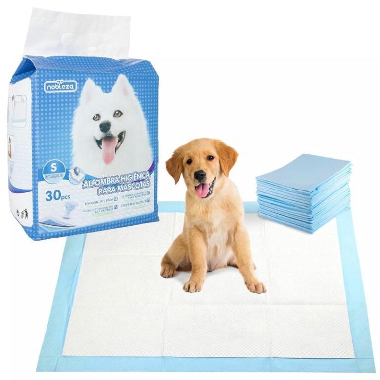 Jak działa mata dla psa? Odkryj tajemnice wygodnego wypoczynku pupila.