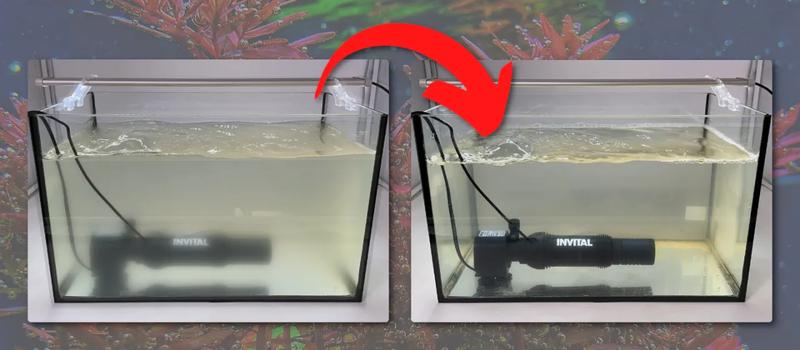 Jak skutecznie korzystać z lampy UV w akwarium? Praktyczne porady i wskazówki