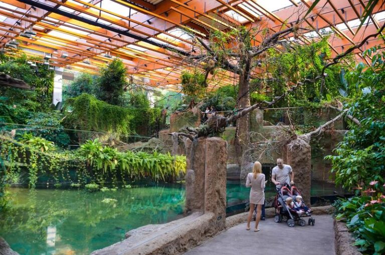 Jak szybko dotrzeć do wrocławskiego zoo z dworca PKP?