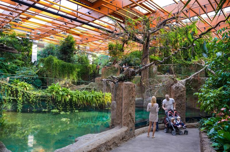 Jak szybko dotrzeć do wrocławskiego zoo z dworca PKP?