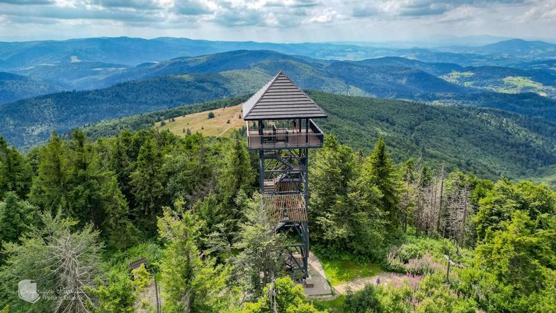 Mogielica z psem – odkryj, co warto wiedzieć przed wyprawą