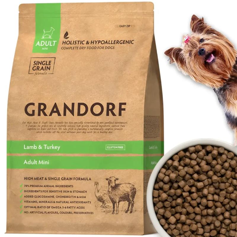 Najlepsze pokarmy dla psa na wypadanie sierści – co warto podać?