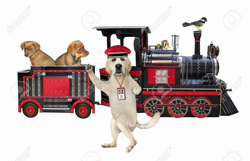 Niezwykła podróż: eBook o psie, który jeździł koleją do pobrania