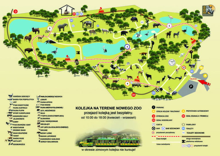 Odkryj fascynujący świat zwierząt w zoo Poznań