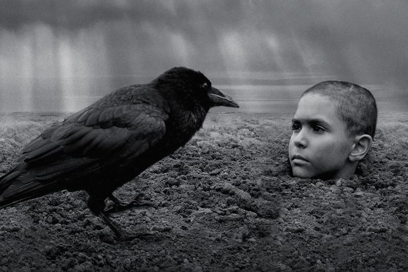 Odkryj magię „jak malowany ptak” — nietypowe podejście do coverów