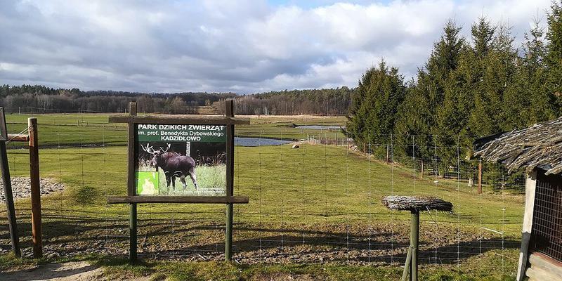 Odkryj park dzikich zwierząt w Kadzidłowie – sprawdź, jak dojechać!