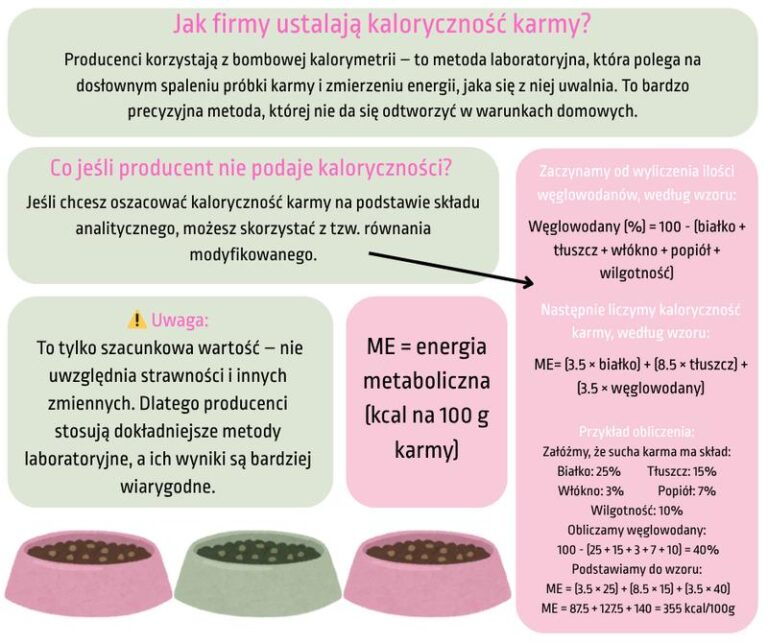 Sekrety obliczania kaloryczności karmy dla psa – co musisz wiedzieć?
