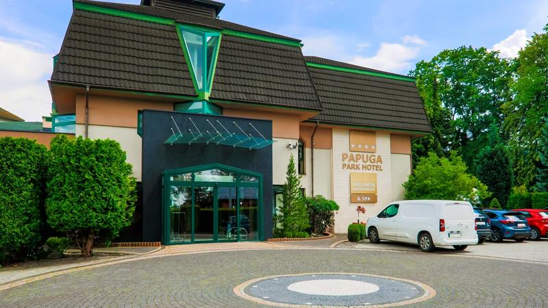 Skuteczne sposoby na to, jak złapać papugę do klatki w kilka chwil