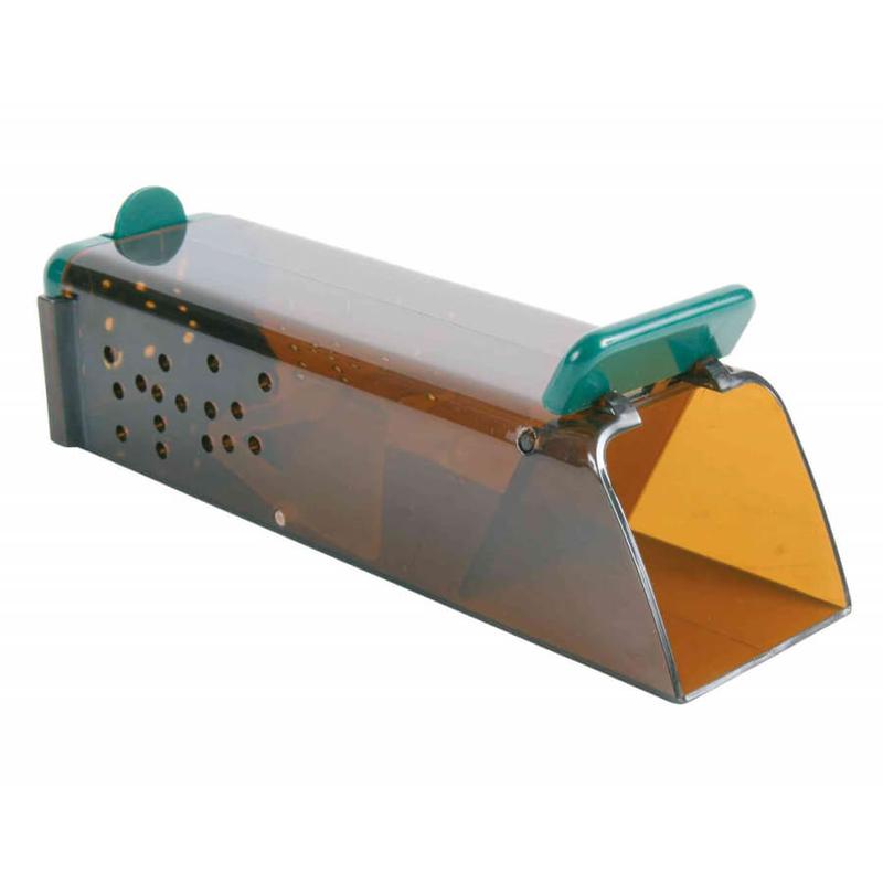 Sprytne sposoby na złapanie myszy bez zabijania w domu