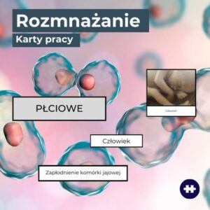 Zwierzęta a ich przyszłość: jakie korzyści płyną z rozmnażania płciowego?