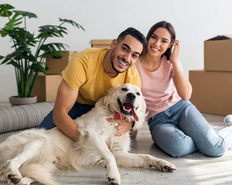 Adaptacja psa do nowego mieszkania