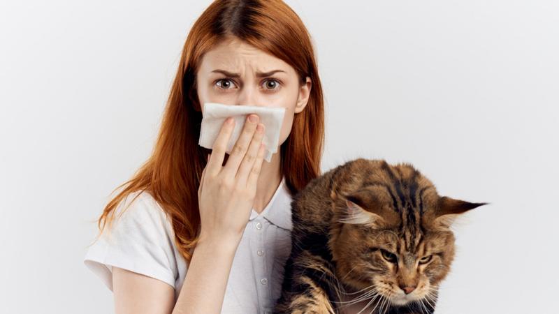 Alergia na zwierzęta domowe