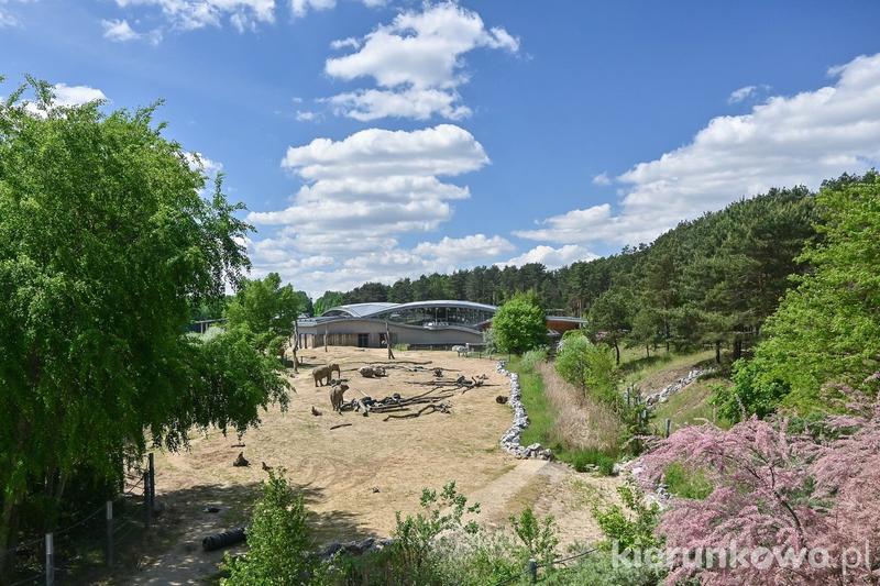 Atrakcje i zabytki w pobliżu zoo
