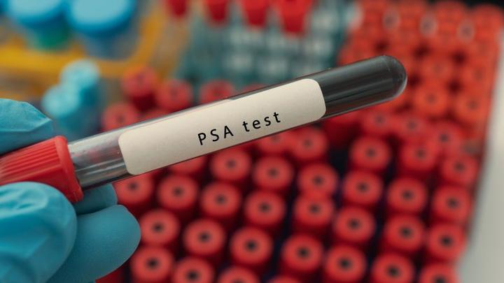 Badanie psa krok po kroku