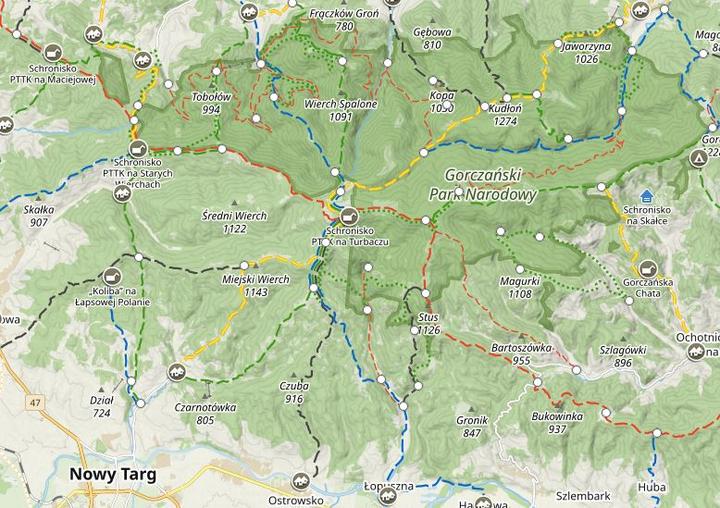 Bezpieczeństwo psa na szlaku