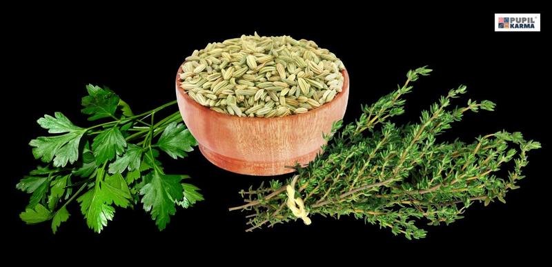 Bezpieczne wprowadzanie przypraw do diety psa