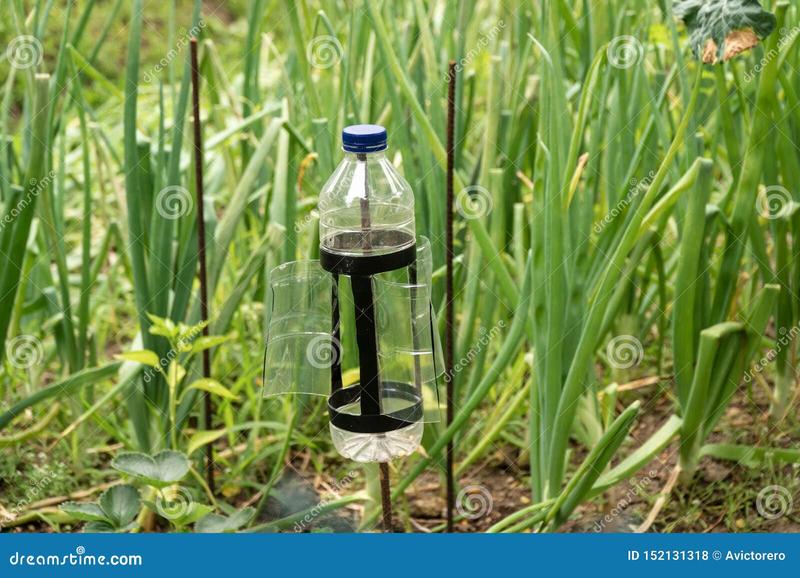 DIY z plastikowych butelek