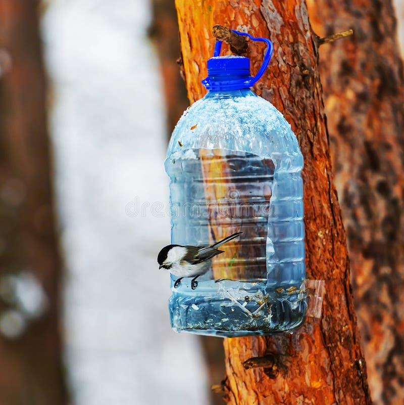 Dekoracje ogrodowe z recyklingu