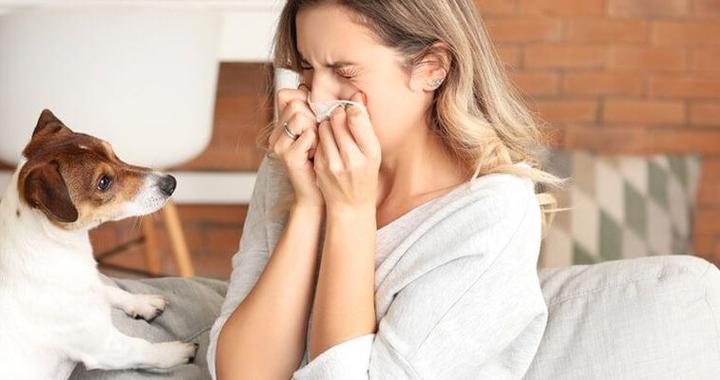 Diagnostyka alergii na zwierzęta