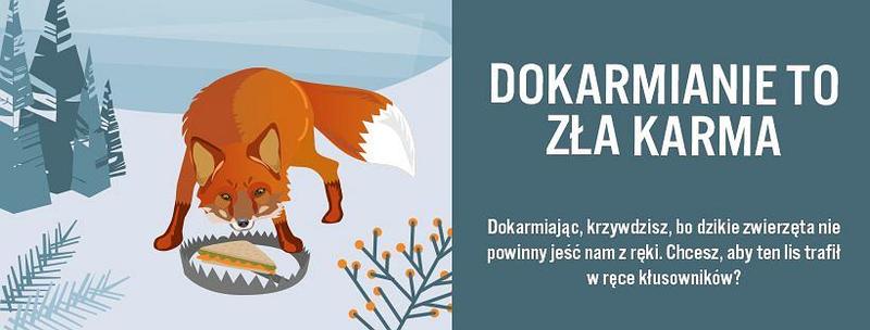 Doświadczenia życiowe a kształtowanie przyszłości