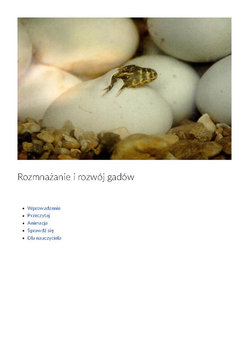 Ewolucja i adaptacje rozmnażania węży