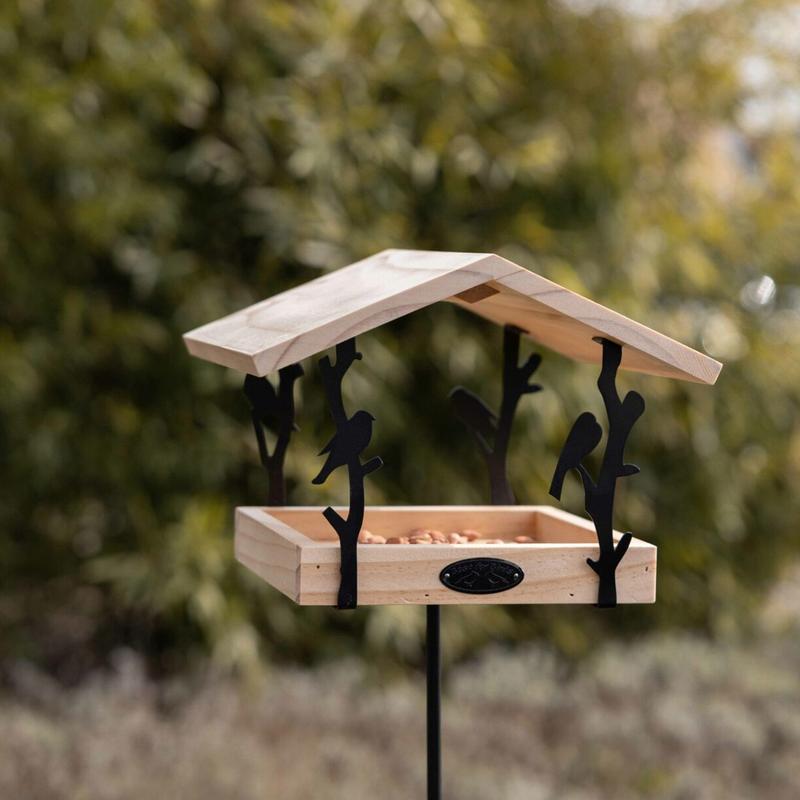 Gdzie kupić karmnik w Warszawie