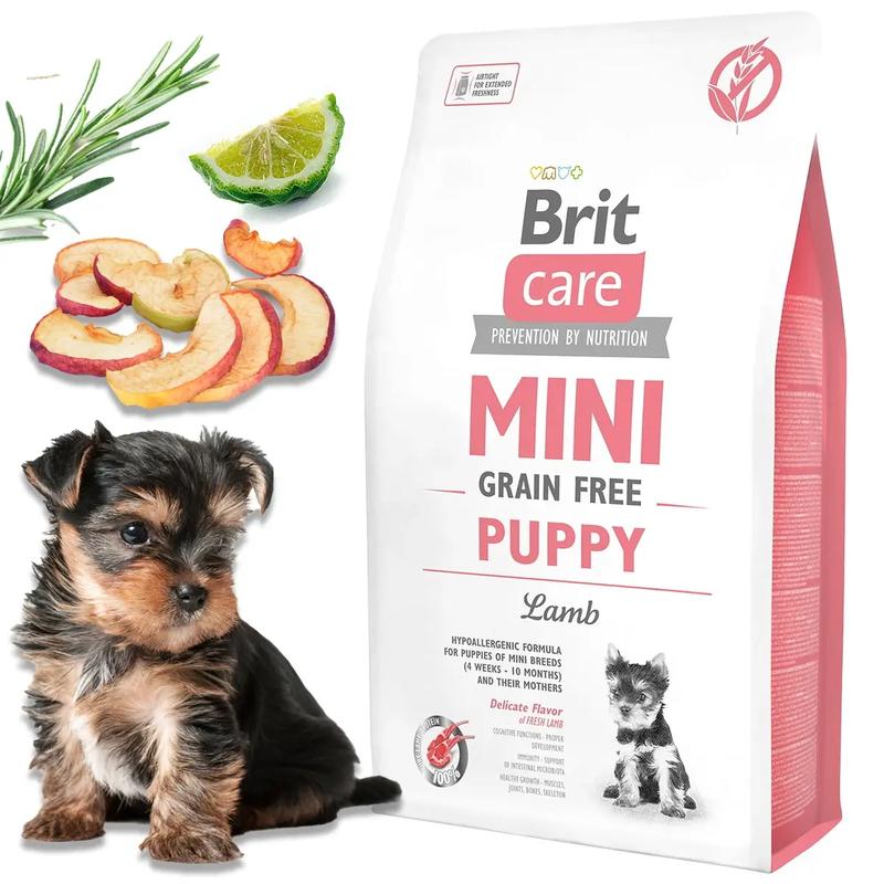 Karmienie szczeniaka suchą karmą