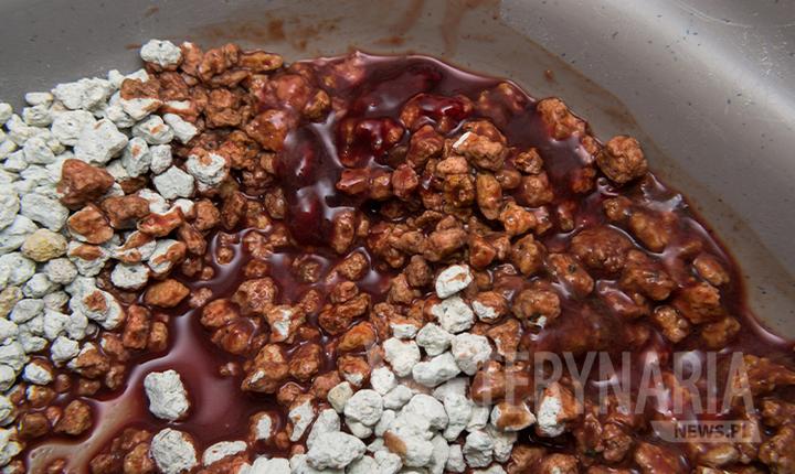 Kiedy do weterynarza przy biegunce u kota