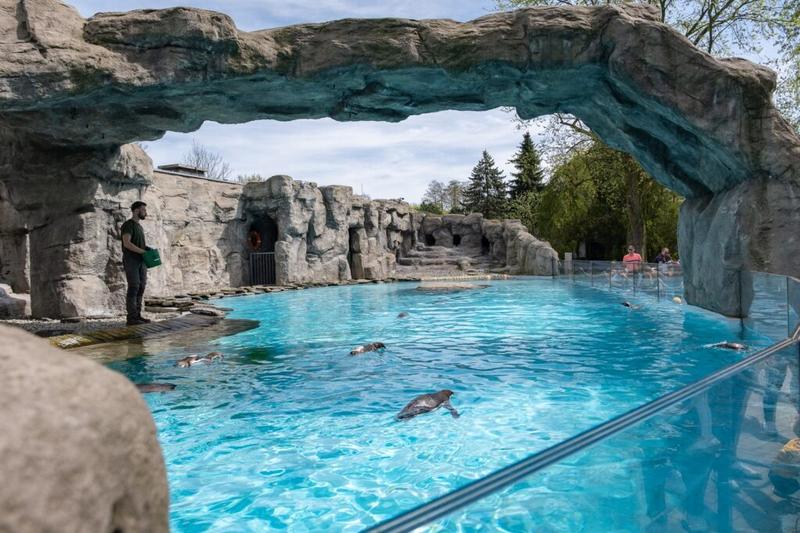 Kiedy odwiedzić zoo w Chorzowie