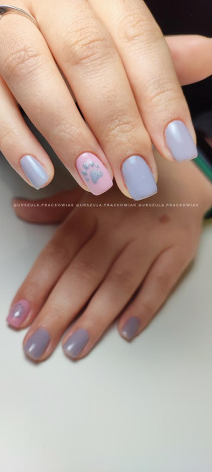 Kiedy przyciąć paznokcie psu