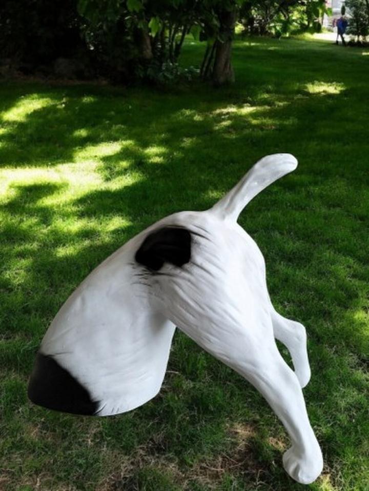 Kopanie jako objaw stresu u psa