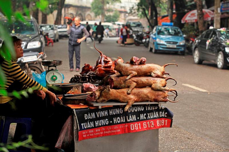 Kultura i tradycja kulinarna Korei