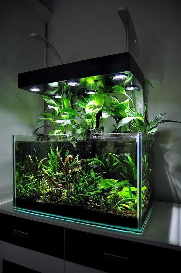 LED vs fluorescencyjne oświetlenie