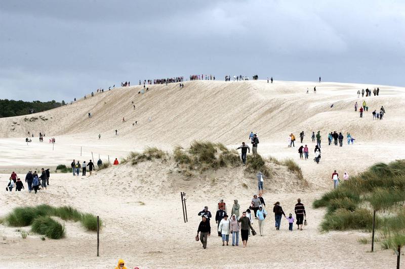 Migracje ptaków Słowiński Park Narodowy