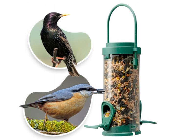 Najlepsze nasiona dla ptaków zimą