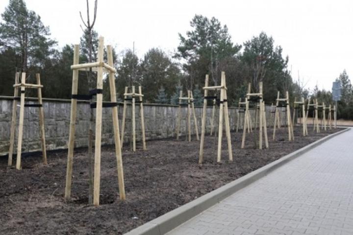 Naturalne odstraszacze psów w ogrodzie